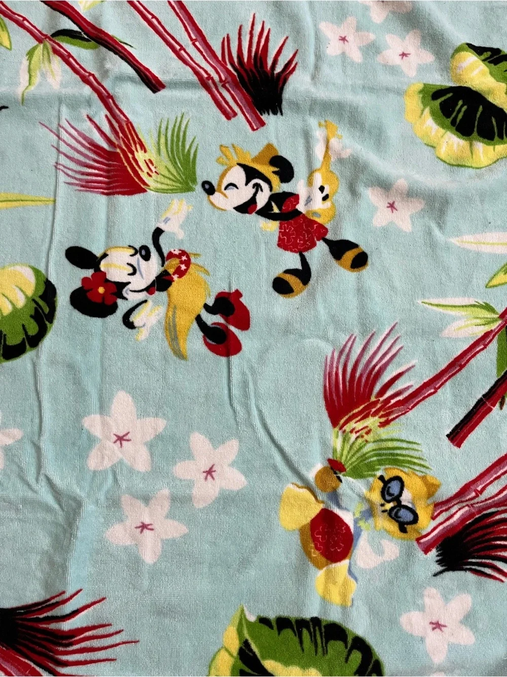 Disney beach towels (Mickey and Minnie)